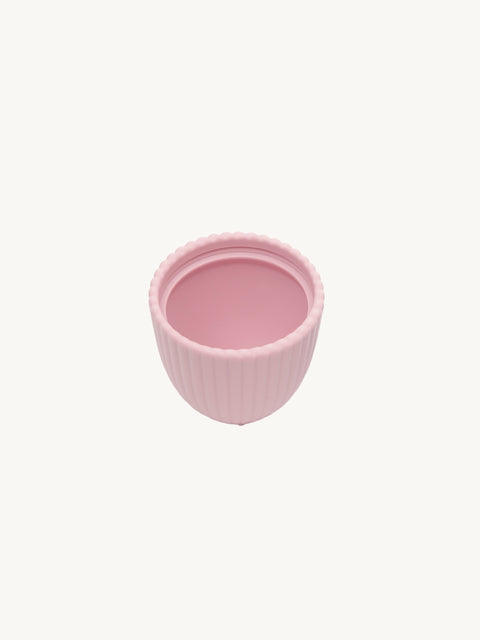 Sea Shell Cup with Lid - Pink