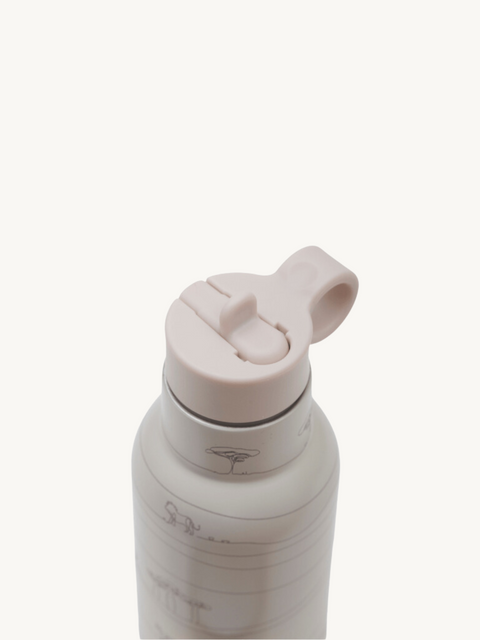 Seashell Insulated Drinking Bottle 350ML - Cream